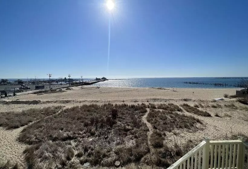 住宿加早餐 Lotus Provincetown