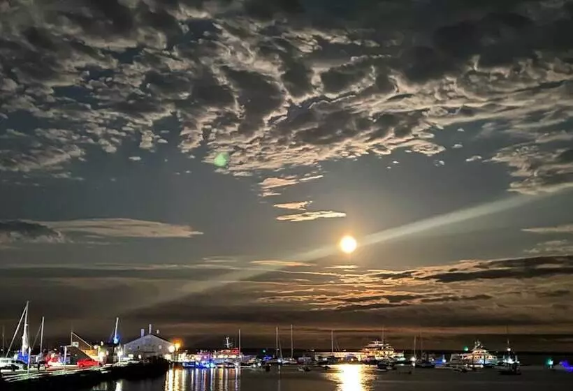 住宿加早餐 Lotus Provincetown