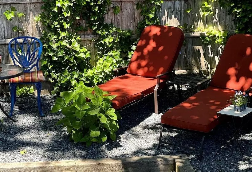 住宿加早餐 Lotus Provincetown