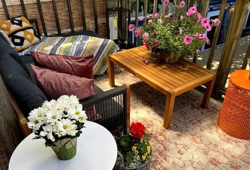 住宿加早餐 Lotus Provincetown