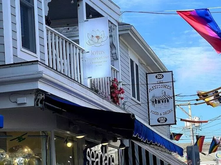住宿加早餐 Lotus Provincetown