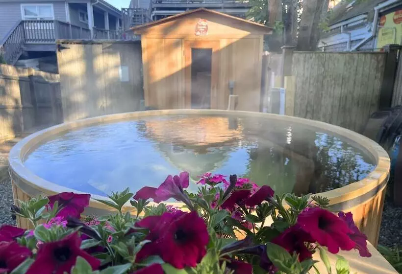 住宿加早餐 Lotus Provincetown