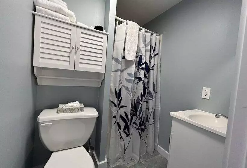 住宿加早餐 Lotus Provincetown