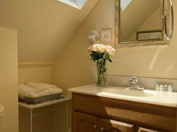 住宿加早餐 Lotus Provincetown