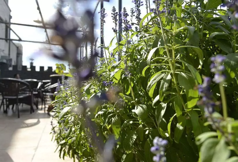 Beijing Dreams Travel Hostel