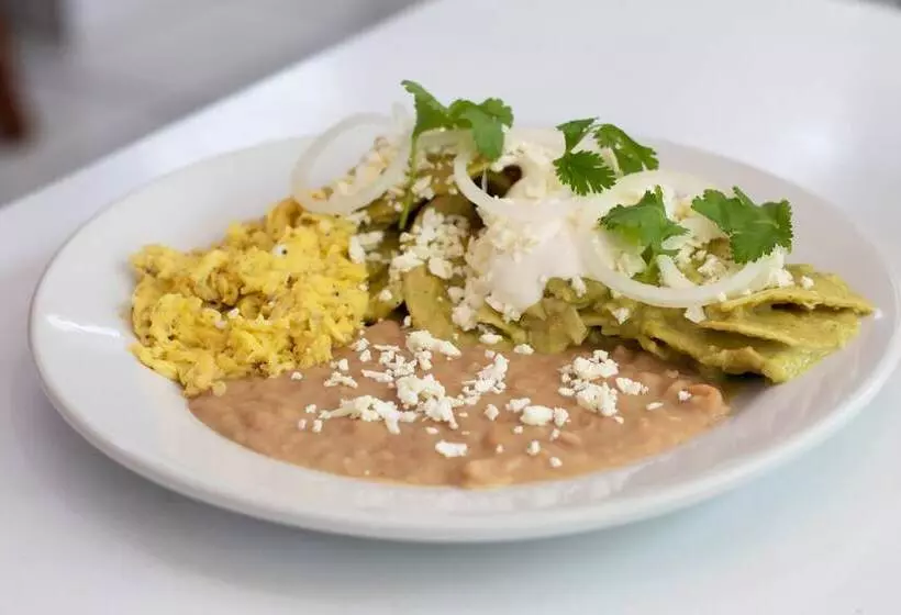 Hotel La Vid Aguascalientes