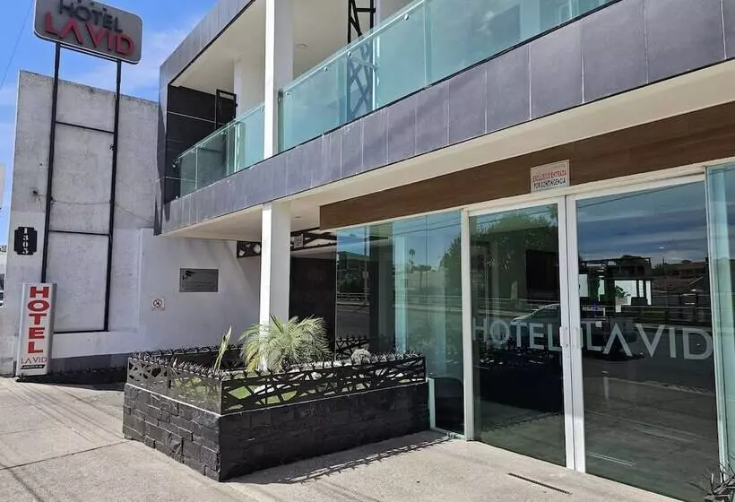 Hotel La Vid Aguascalientes