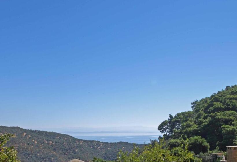 فندق Manici Kasri