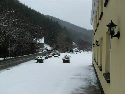 هتل The Hollybrook Country Inn