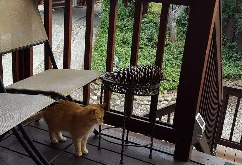 Nature S Inn Bed And Breakfast