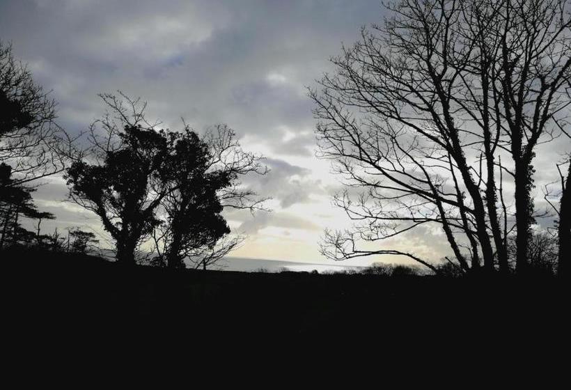 膳宿费 Bron Rhiw Guest House