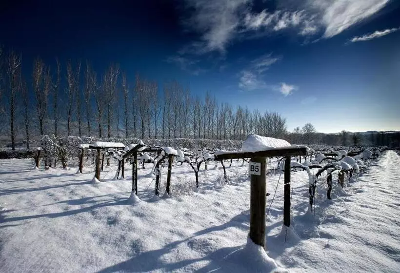 Пансион Llanerch Vineyard