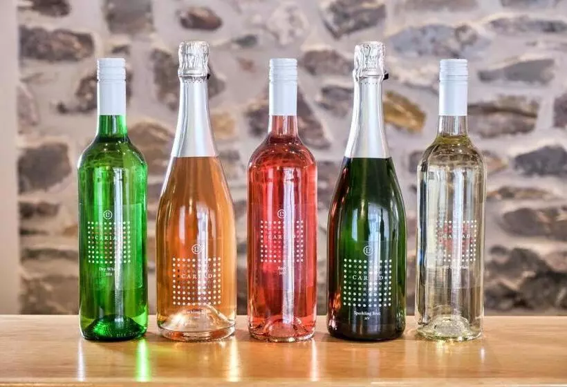 Пансион Llanerch Vineyard