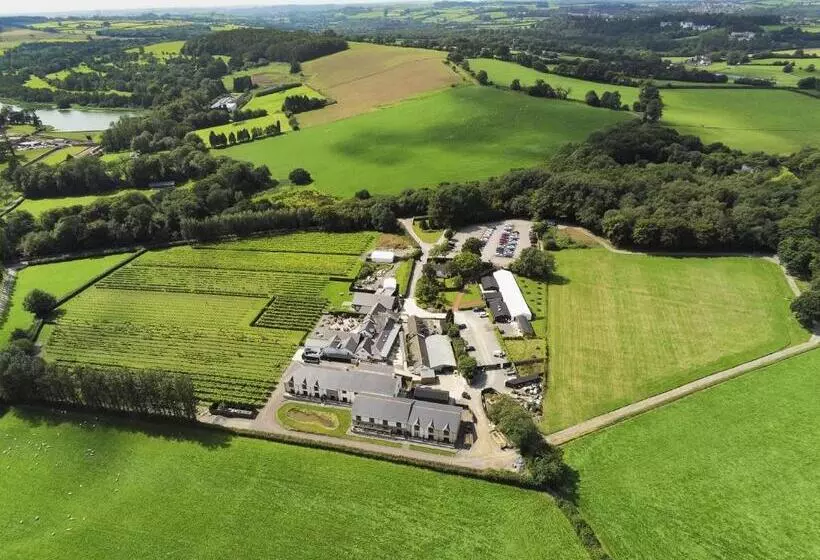 Пансион Llanerch Vineyard