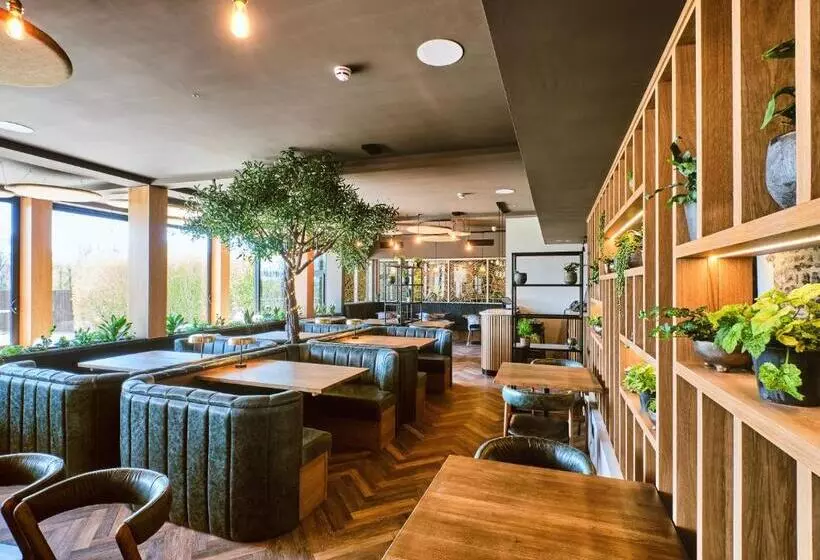 Пансион Llanerch Vineyard