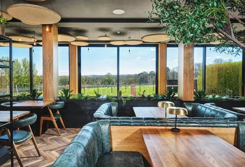 Пансион Llanerch Vineyard