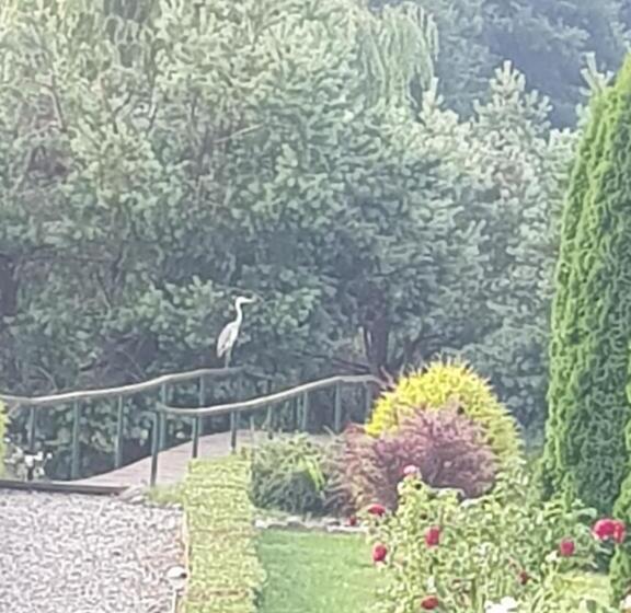 住宿加早餐  Ik Pod Różą