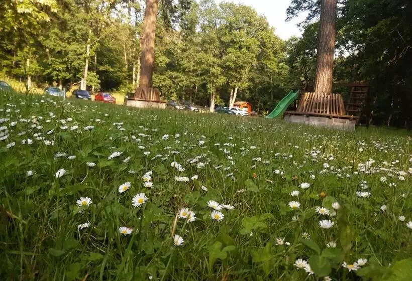 Aamiaismajoitus (B&B) Leśny Dom