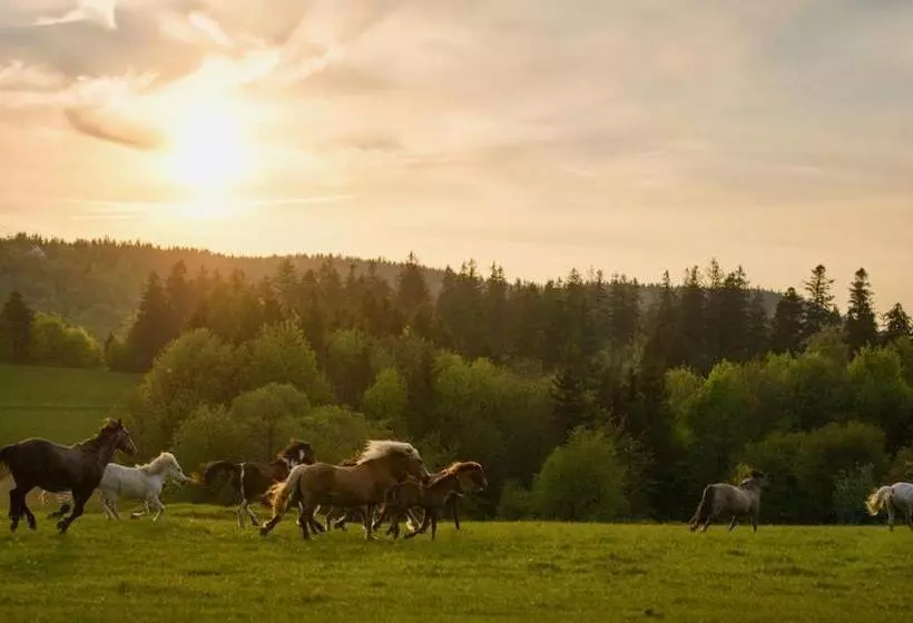 Aamiaismajoitus (B&B) Rancho Panderoza