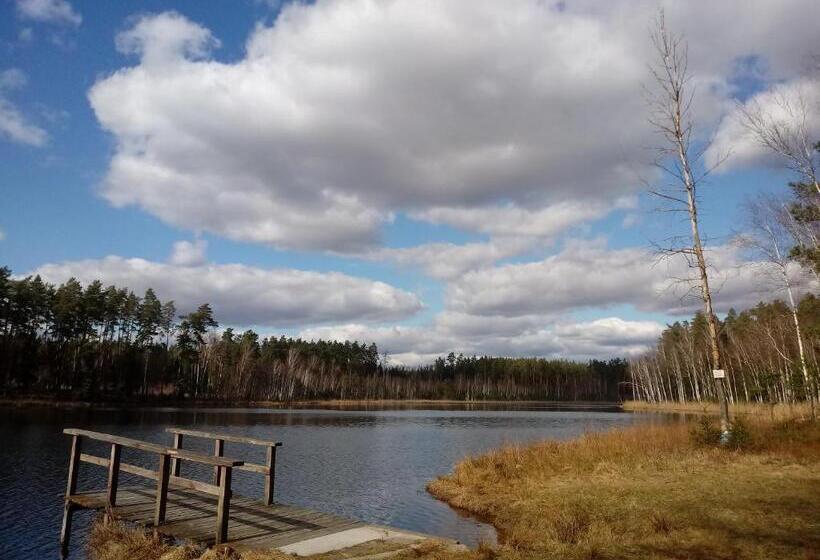 Bed and Breakfast Sloneczna Weranda