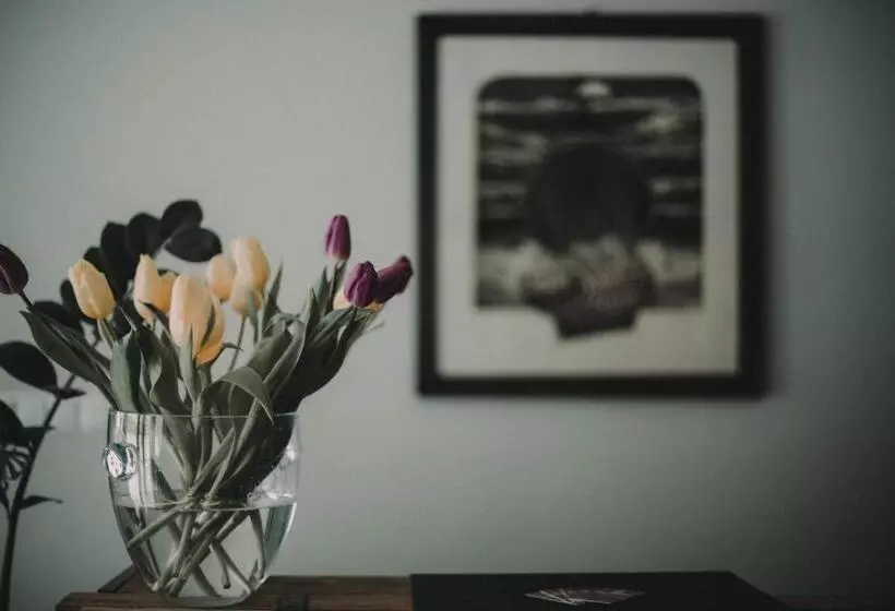 Aamiaismajoitus (B&B) Tulipanowy Gościniec