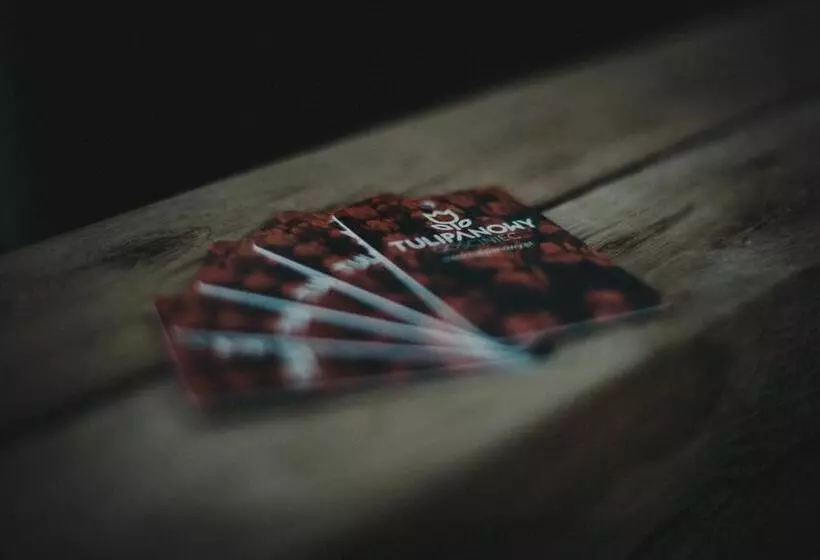 Aamiaismajoitus (B&B) Tulipanowy Gościniec