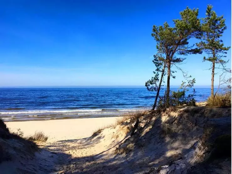 Aamiaismajoitus (B&B) Villa Park Wisełka Spa & Wellness