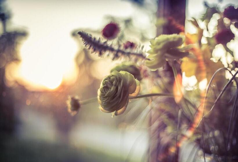 צימר W Starym Młynie