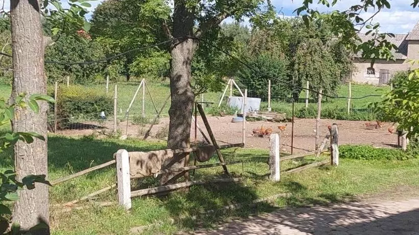 ホテル Gospoda Rycerska Pod Grunwaldem