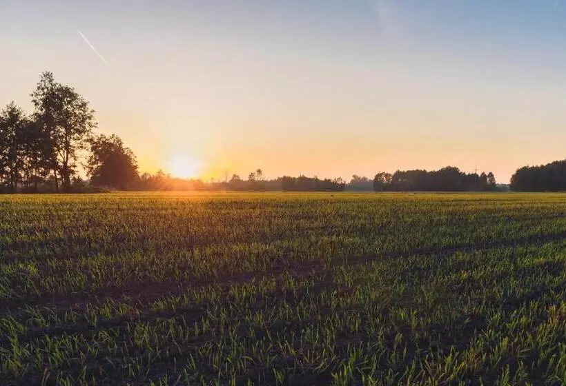 Hotelli Pod Jesiotrem