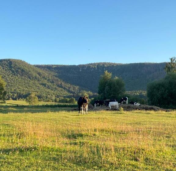 ホテル Siedem łanów
