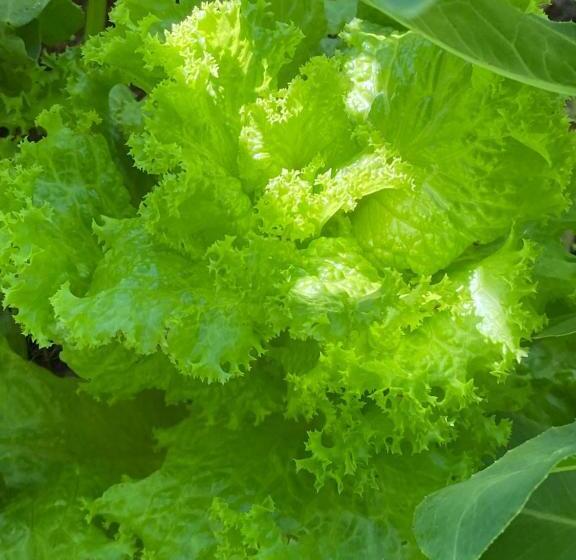 ホテル Siedem łanów