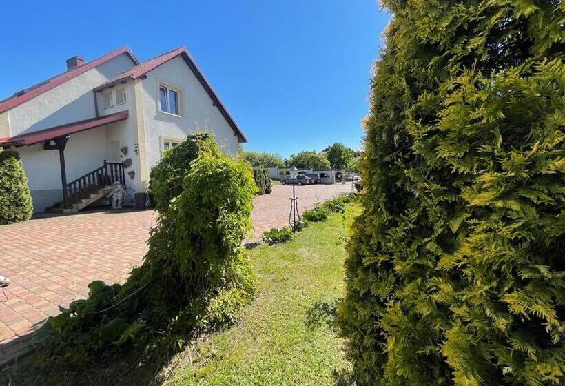 호스텔 Villa Regina Spokojna Okolica 100 Metrów Od Lasu