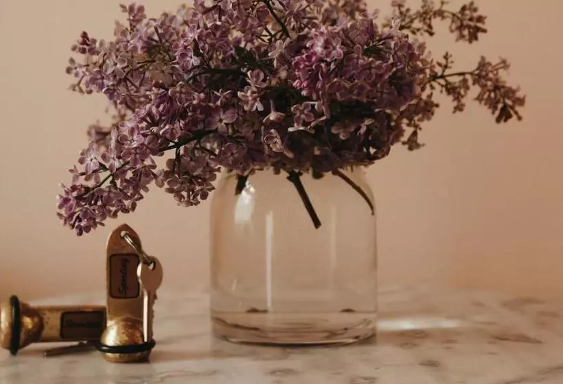 تختخواب و صبحانه Kamienica Sporting