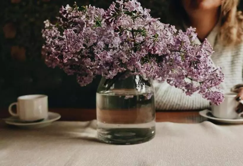 تختخواب و صبحانه Kamienica Sporting