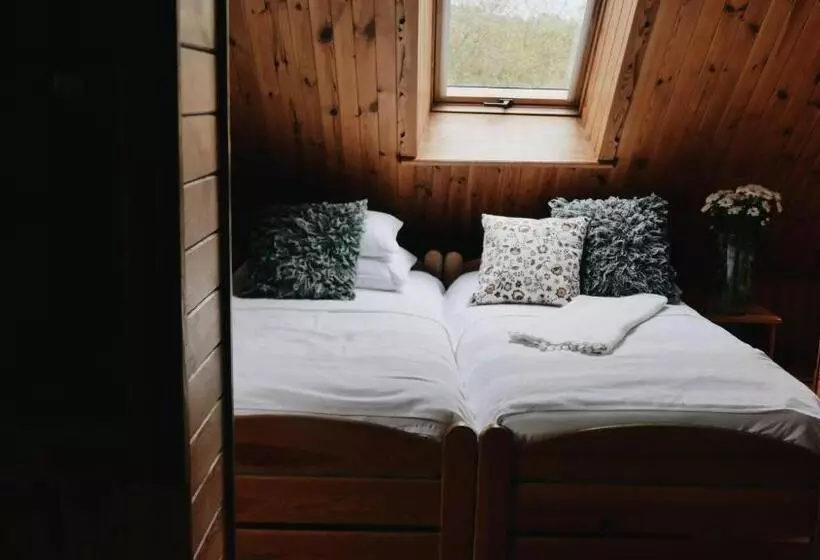 تختخواب و صبحانه Kamienica Sporting