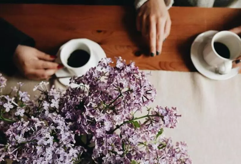 تختخواب و صبحانه Kamienica Sporting