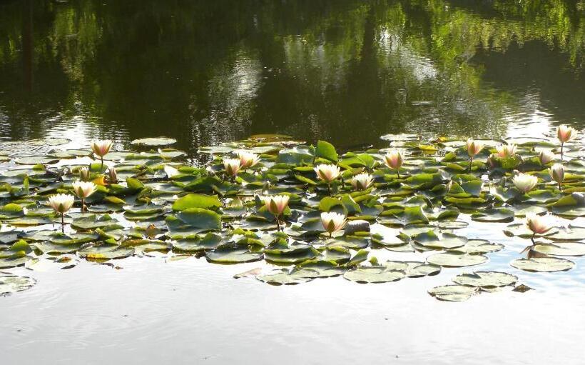 צימר Villa Orlik