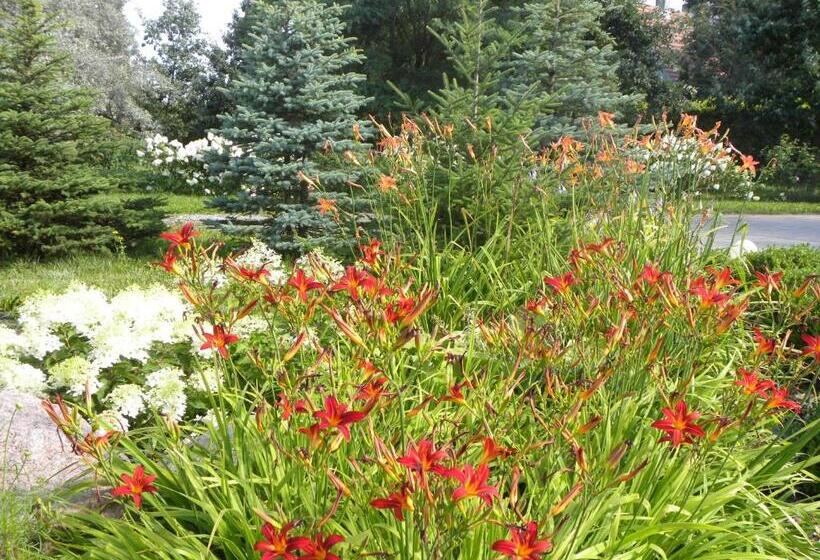 צימר Villa Orlik