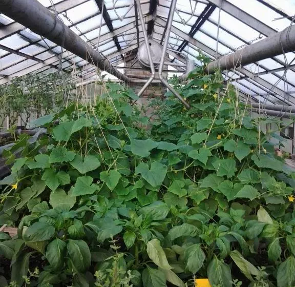 ホテル Nad Doliną Krutyni