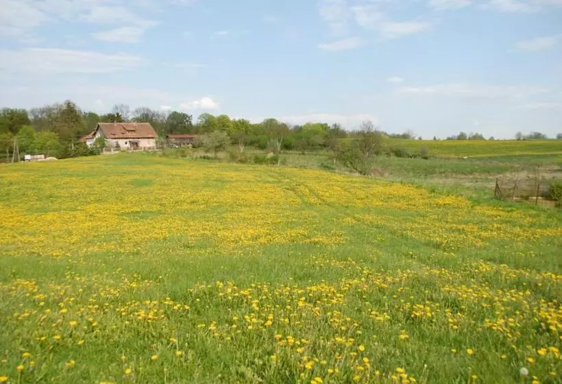 ホテル Nad Doliną Krutyni