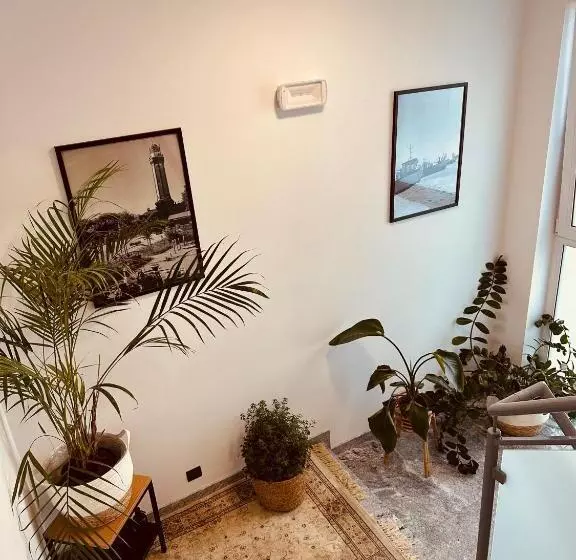 Hotelli Holiday Siesta Pensjonat, Domki