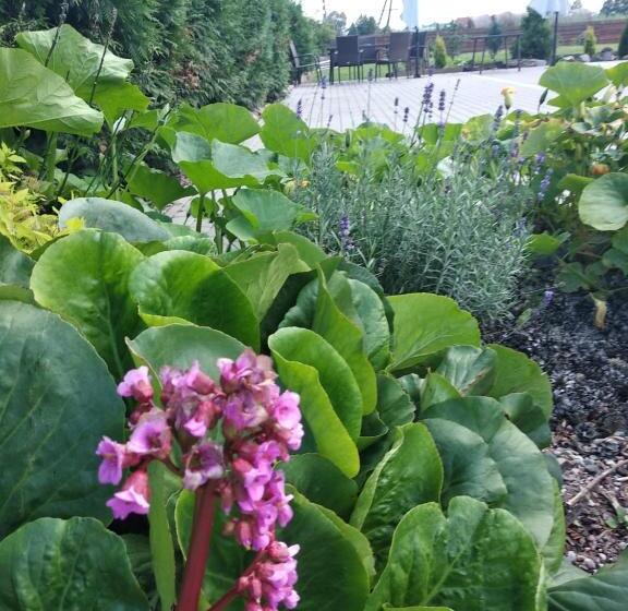 ホテル Swojski Klimat