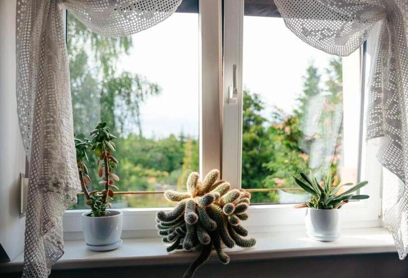 호텔 Zielona Parcela