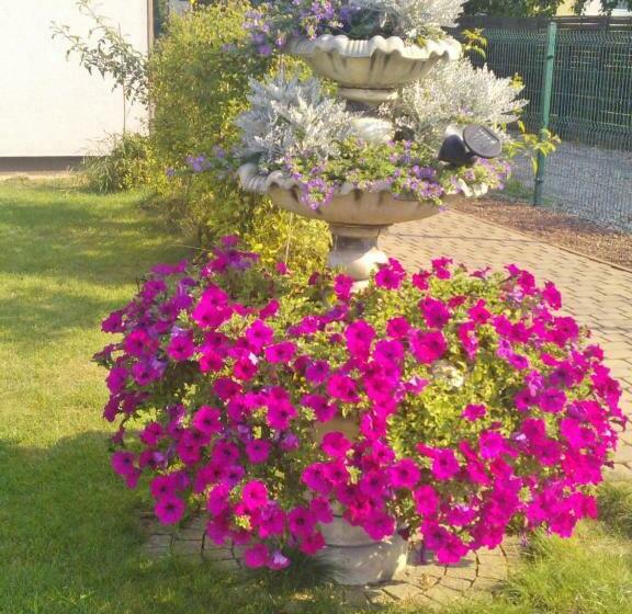 פנסיון Pokoje Hotelowe Wiktoria