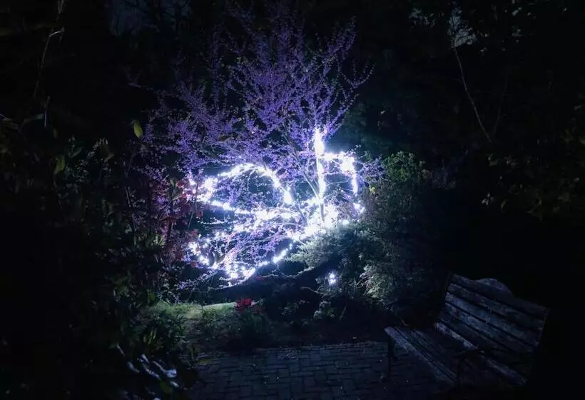 ベッドアンドブレックファースト Willa Halina