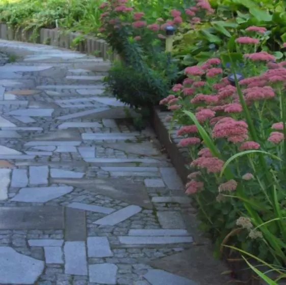 Aamiaismajoitus (B&B) Willa W Ogrodzie