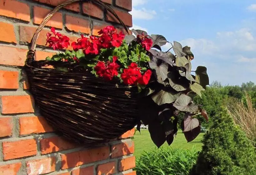 Aamiaismajoitus (B&B) Willa W Ogrodzie