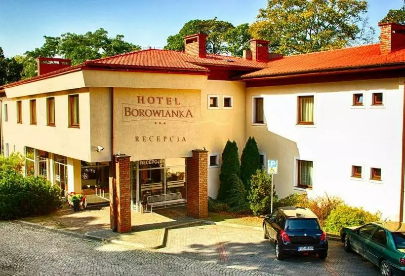 Hotelli I Restauracja Borowianka