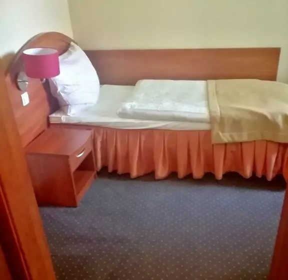 Hotelli I Restauracja Borowianka